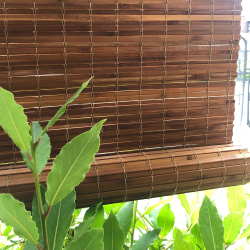 Bambu rullar upp skuggan för skydd mot solljus och avskildhet