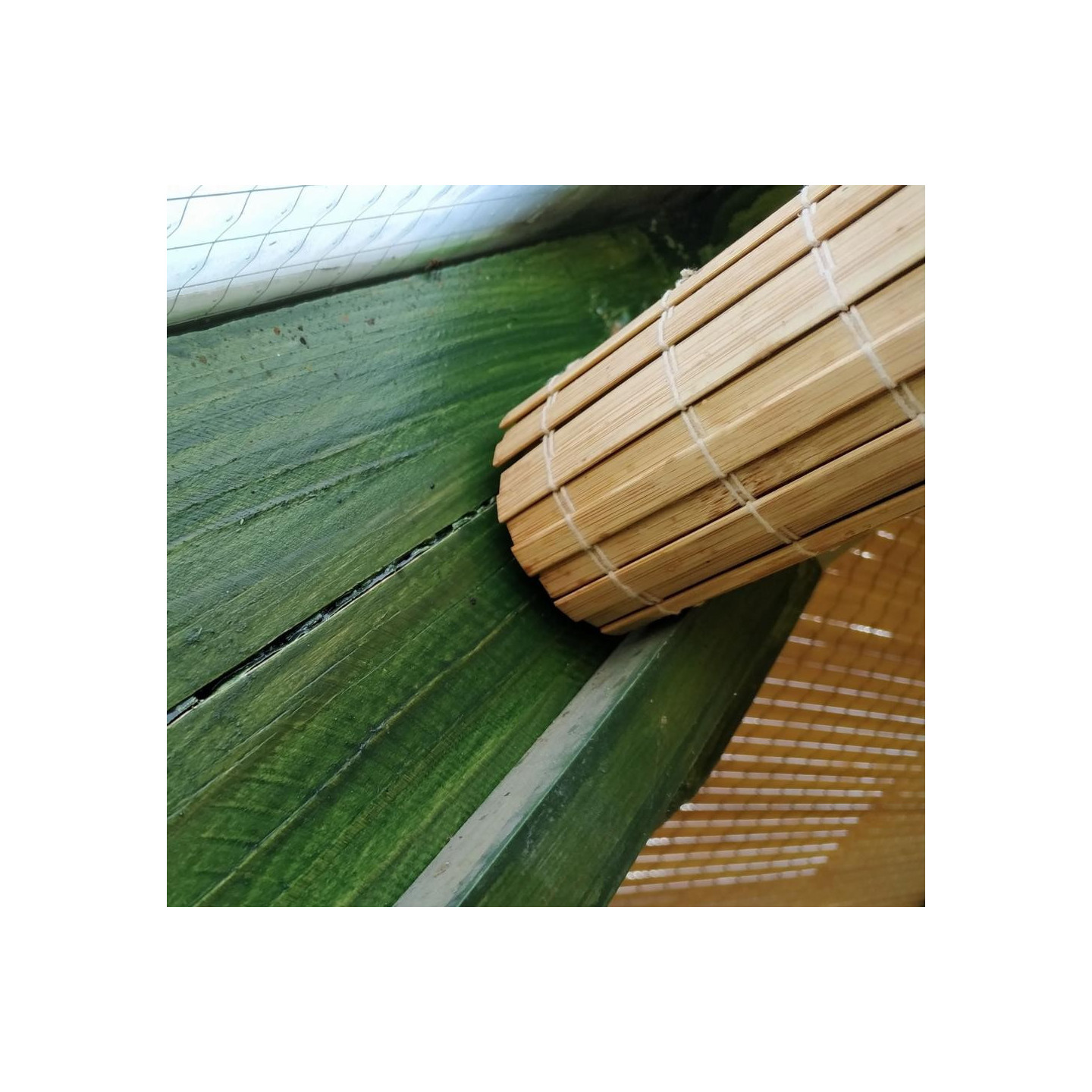 Bambus Sichtschutz Rollo für Wintergarten – nach Maß