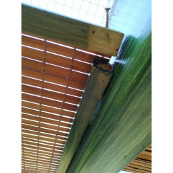 Wintergartenbeschattung, Sonnenschutz Bambus Rollos unter Glasdach