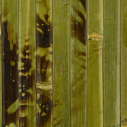 Mur de bambou vert collé...