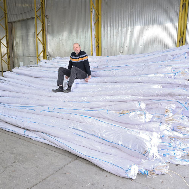 El kooboo lunty materia prima para la cestería de dirigibles.